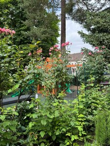 Gartenimpressionen