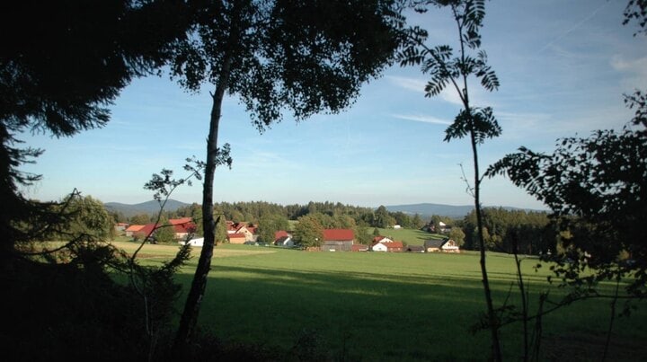 Ausblick