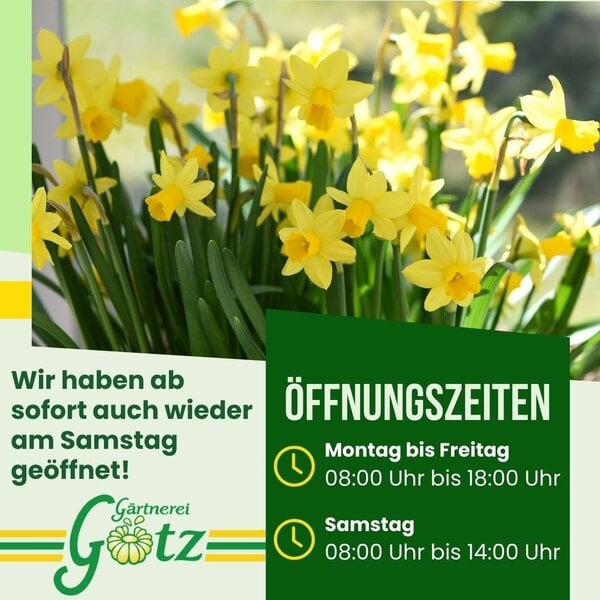 Unsere Frühlingsöffnungszeiten