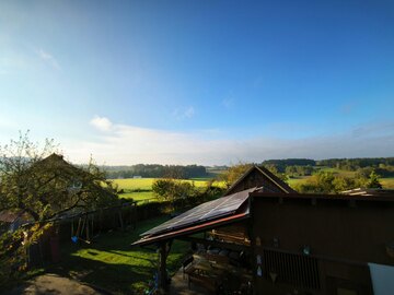 Guten Morgen bei Fuchs