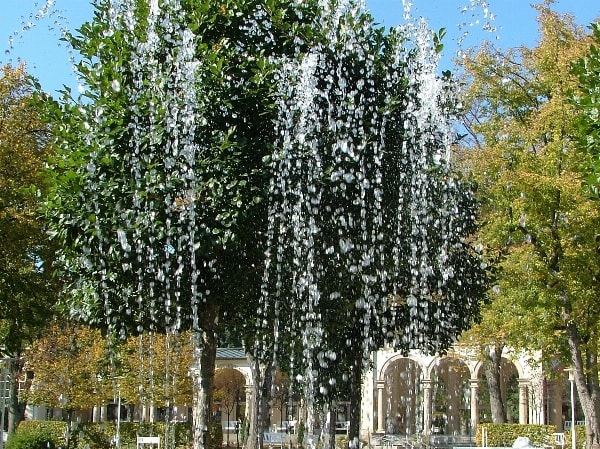 Den goldenen Herbst genießen