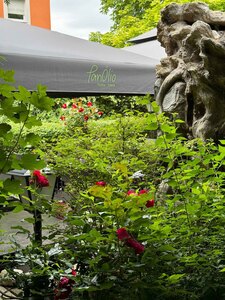 Gartenimpressionen