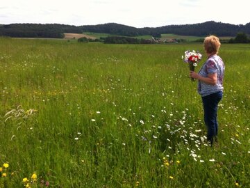 Im Klimaschutzprogramm | Unsere Blumenwiese am Adlitzer Berg