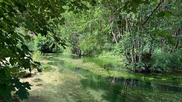 Bachidylle direkt am Campingplatz Bärenschlucht