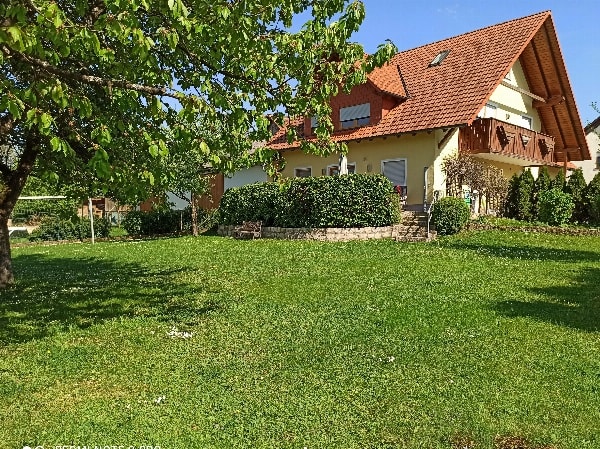 Zusammen mit unseren Tieren den Sommerurlaub in unserer traumhaften Ferienwohnung verbringen.