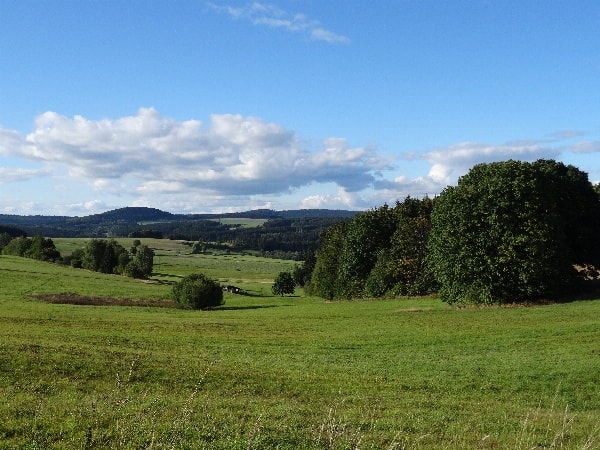 Verlängertes Wochenende (Fewo "Zum Seifengrund")
