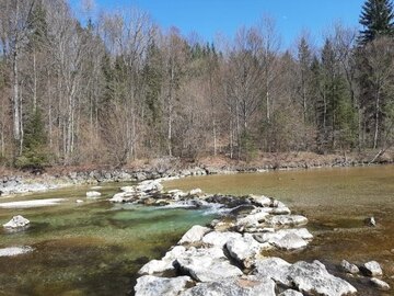 Viele Wandermöglichkeit in unserer unmittelbaren Umgebung