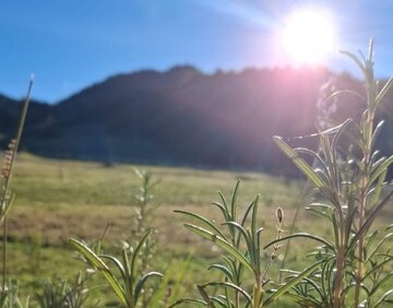 Oberleiterhof Ruhpolding – Natur pur!