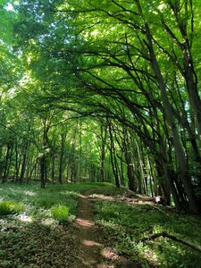 Wandern in der Umgebung