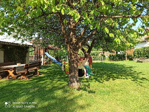 Zusammen mit unseren Tieren den Sommerurlaub in unserer traumhaften Ferienwohnung verbringen.