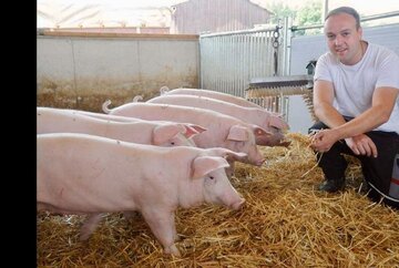 Hofmetzger Jens Braun bei seinen Strohschweinen