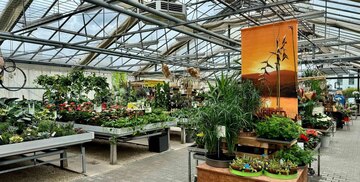 Gewächshaus für den Verkauf von Zimmerpflanzen