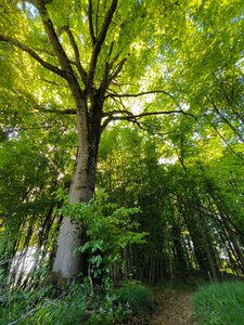 Wandern in der Umgebung
